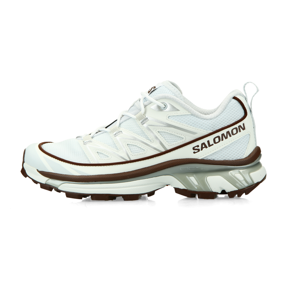 Salomon XT-6 EXPANSE (ancient water / bitter chocolate / ftw silver)